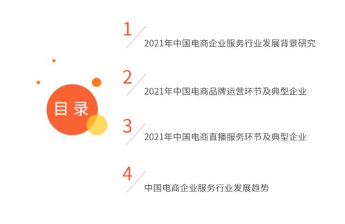 2021年中国电商领域企业服务行业专题研究报告 网络营销咨询服务的崛起与变革